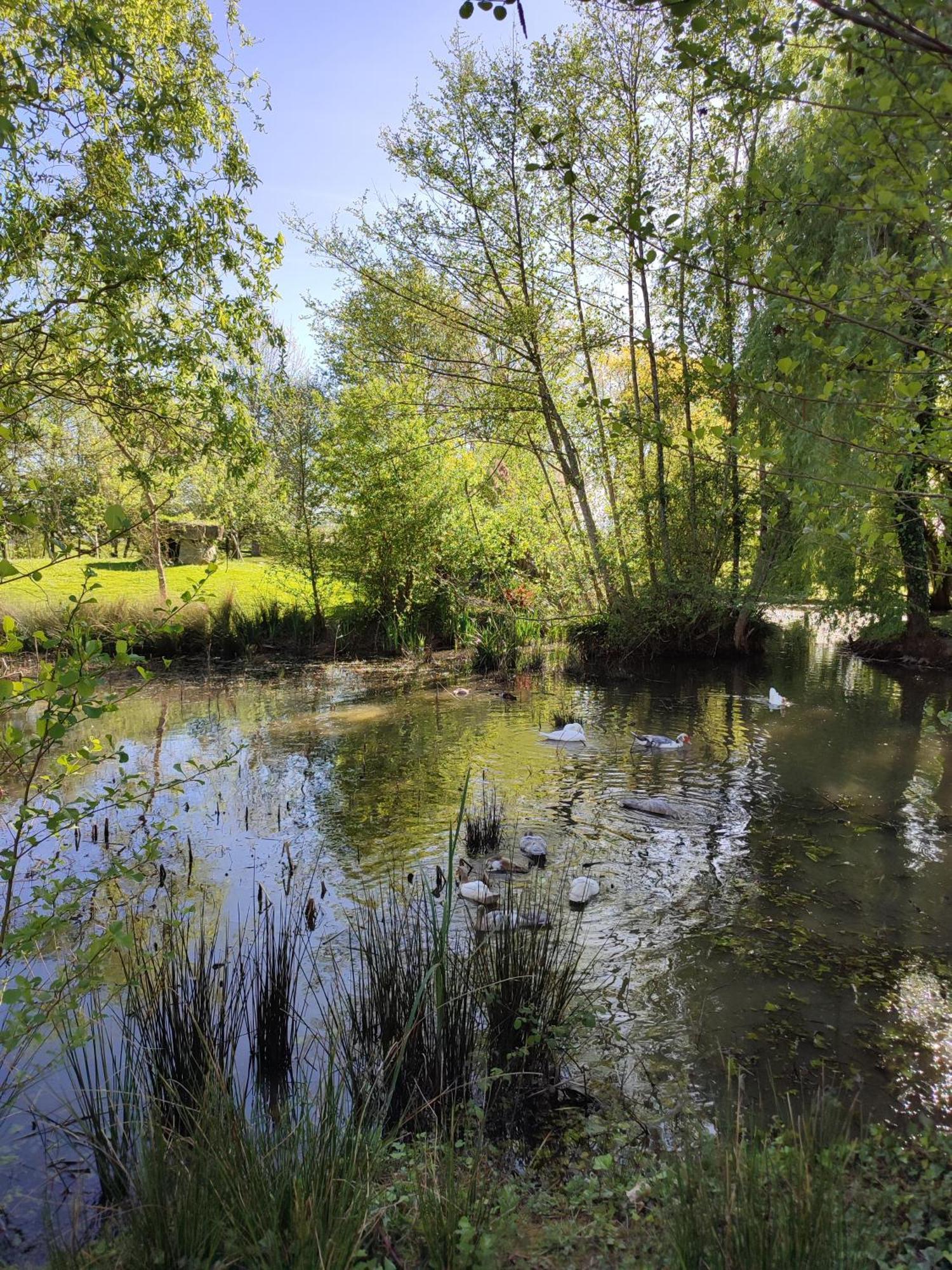 De Couleurs Et D'Eau Fraiche Bed & Breakfast Navarrenx Bagian luar foto